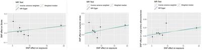 Lipoprotein(a) and stroke: a two-sample Mendelian randomization study